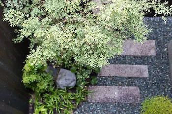 Hatago Kyoto Holiday home